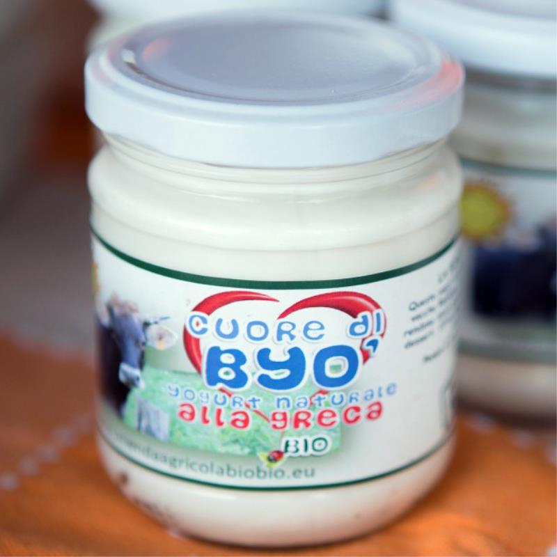 BioBiò Yogurt Biologico alla Greca