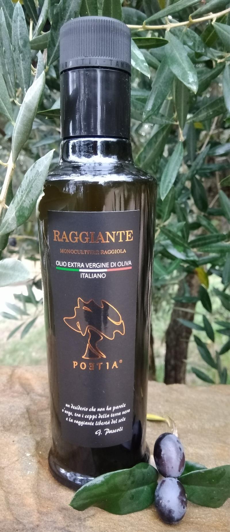 Olio extra vergine di oliva monocultivar Raggiola ml. 250